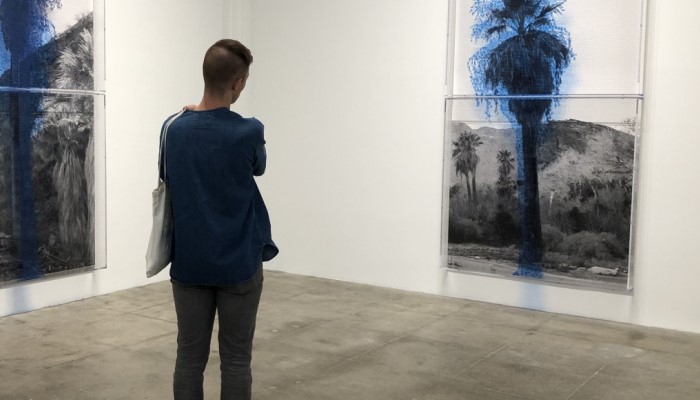 Student in museum looking at artwork